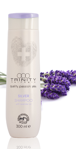 blonde_silver shampoo